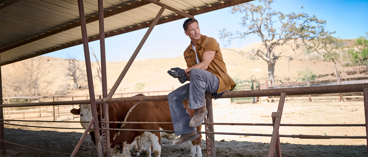 Man sitting on a fence with a cow inside a pen on a farm