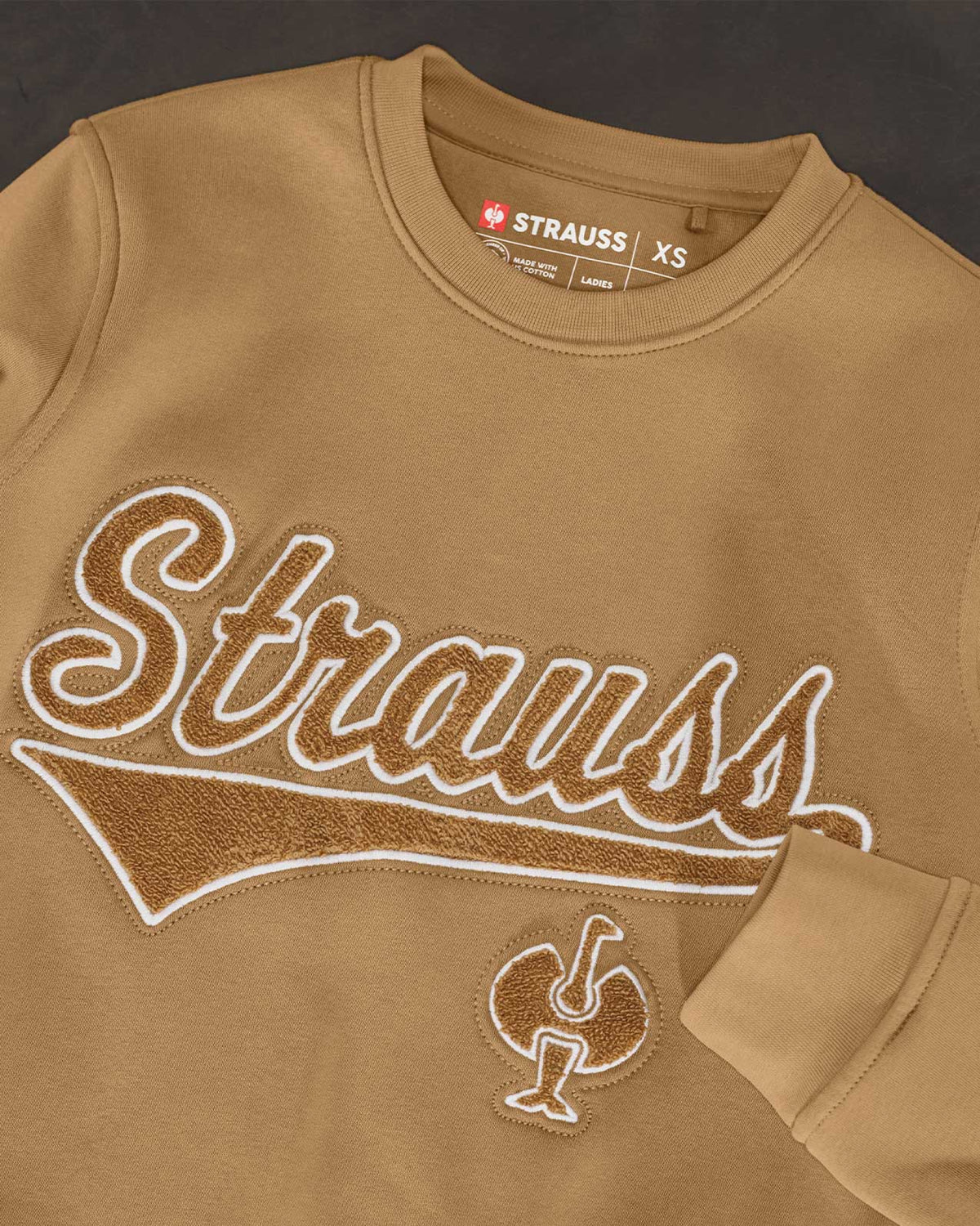 Women's STRAUSS e.s.e:pic artwork crew neck sweatshirt in almond brown, close-up of graphic artwork detail