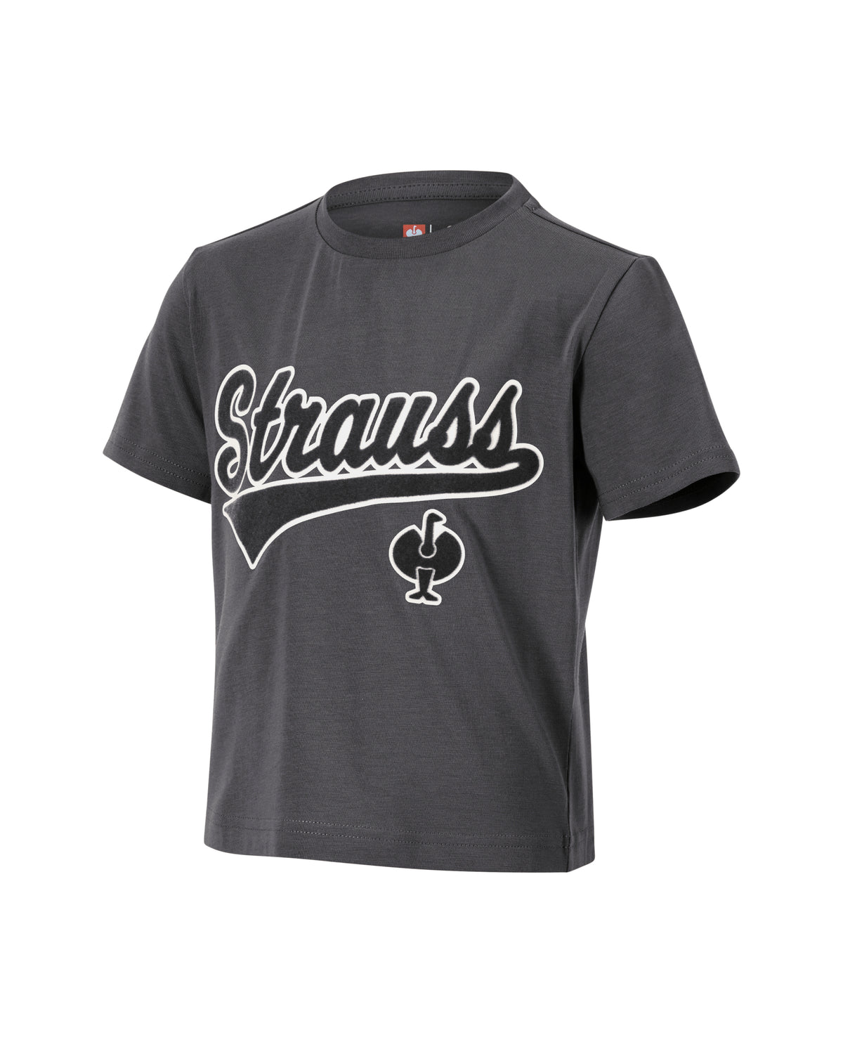 Kids' STRAUSS Artwork T-Shirt e.s.e:pic in carbon gray on a plain product background
