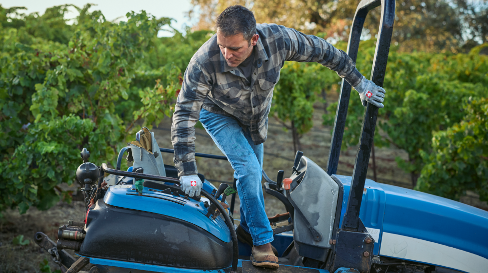 A man in a plaid shirt and jeans climbs onto a blue and white tractor in a vineyard.