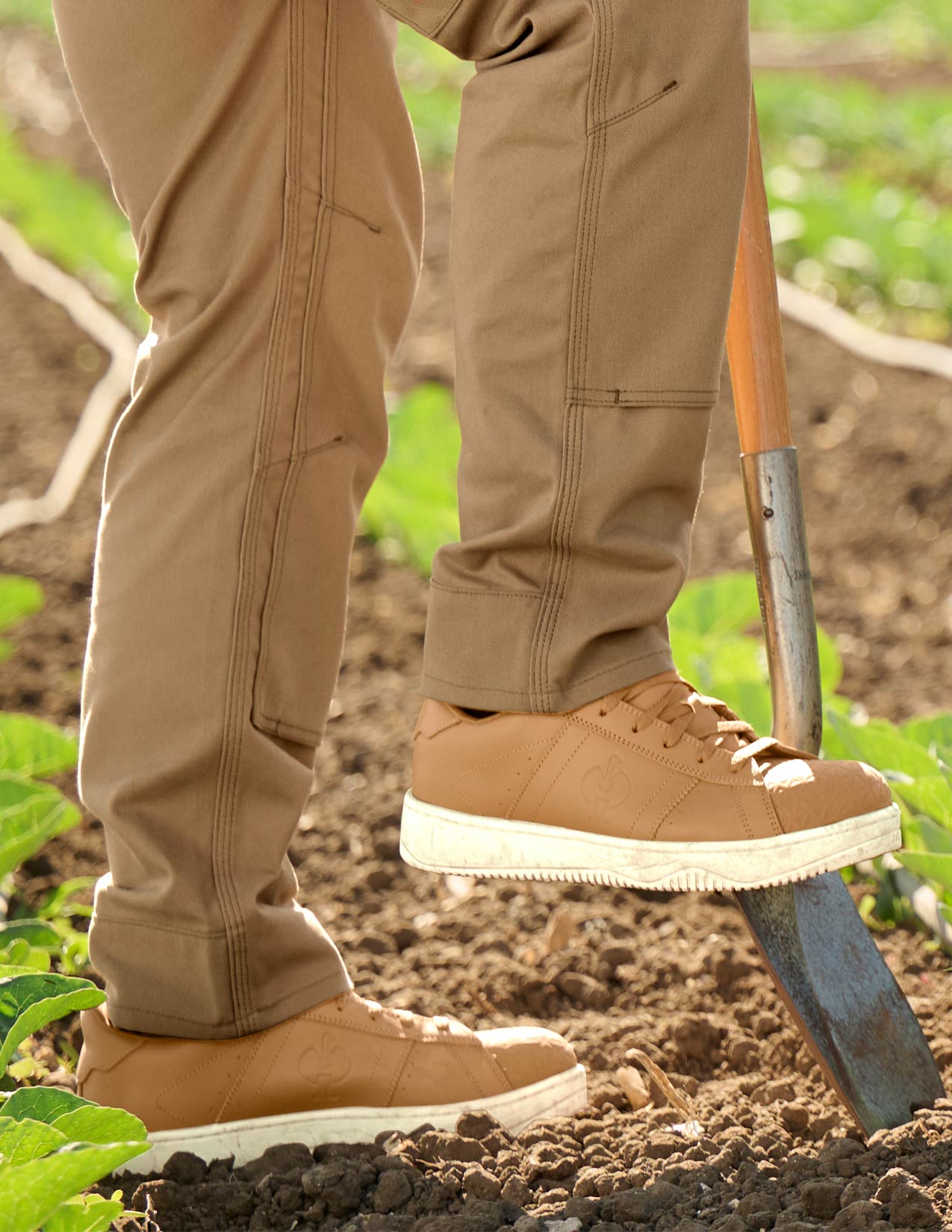 Philly Low Safety Toe Work Shoe