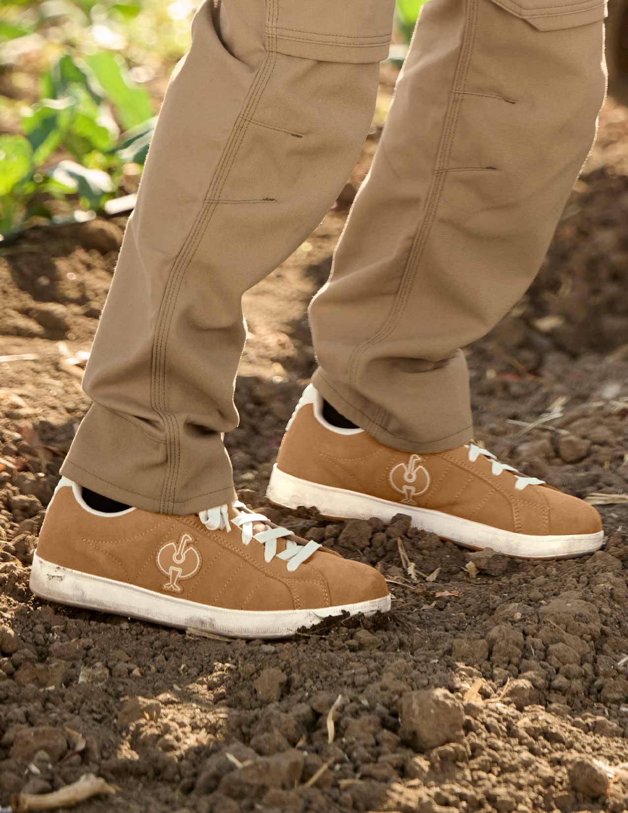 Tampa Low Safety Toe Work Shoe