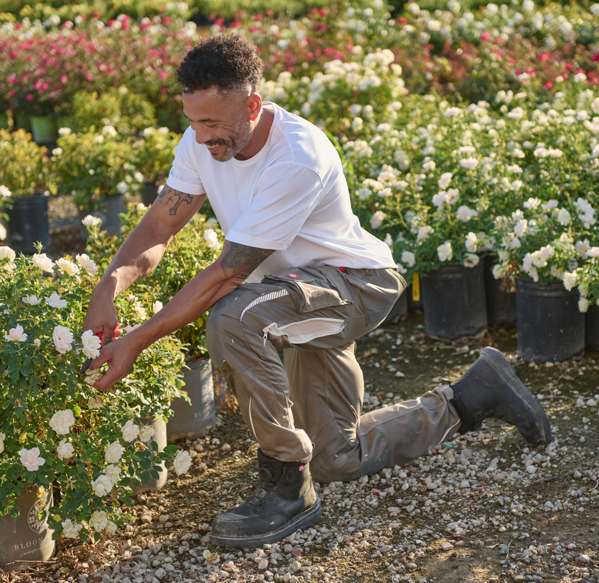 A man in a white t-shirt and cargo pants kneels in a garden, tending to potted white flowers surrounded by many other flowering plants on a sunny day.