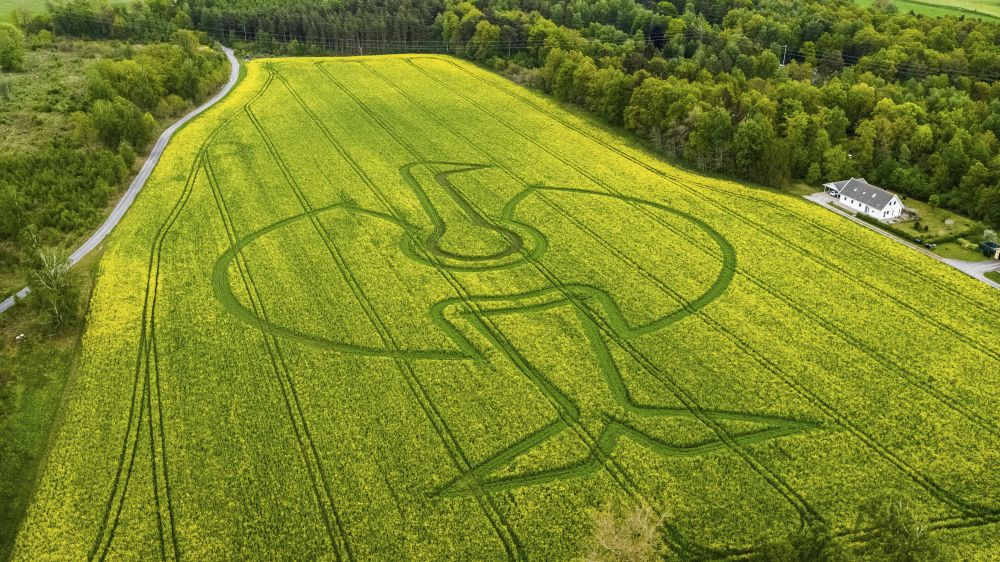 Strauss logo on a wheat field 