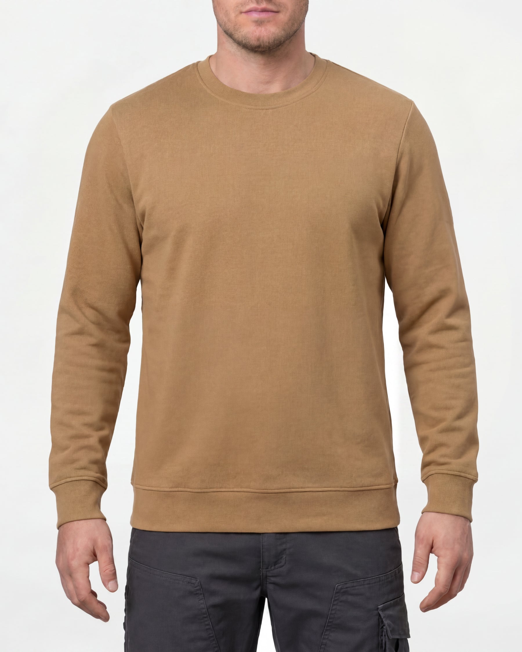 STRAUSS e.s.iconic crew neck sweatshirt in almond brown, worn by model, front view