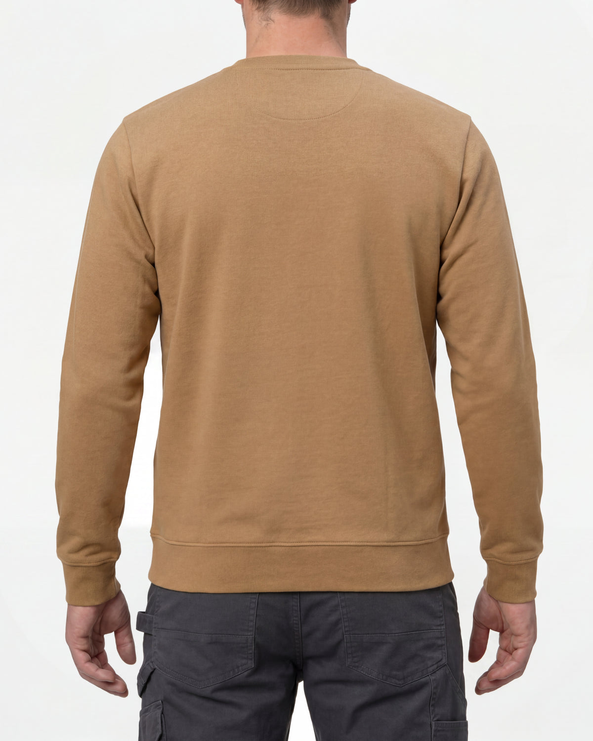 STRAUSS e.s.iconic crew neck sweatshirt in almond brown, worn by model, back view