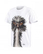 STRAUSS Cotton Stretch T-Shirt in white on a plain product background