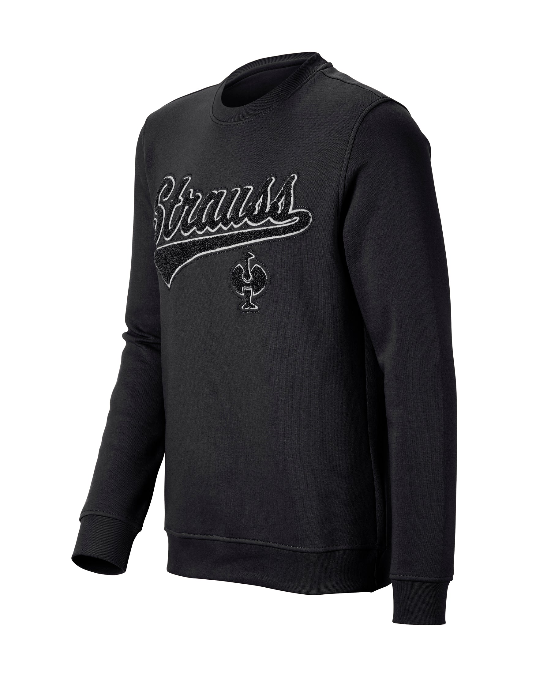 STRAUSS e.s.e:pic artwork crew neck sweatshirt in black, front view