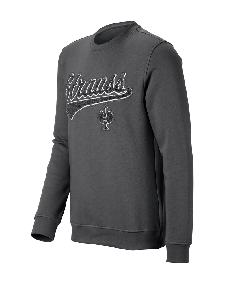 STRAUSS e.s.e:pic artwork crew neck sweatshirt in carbon gray, front view