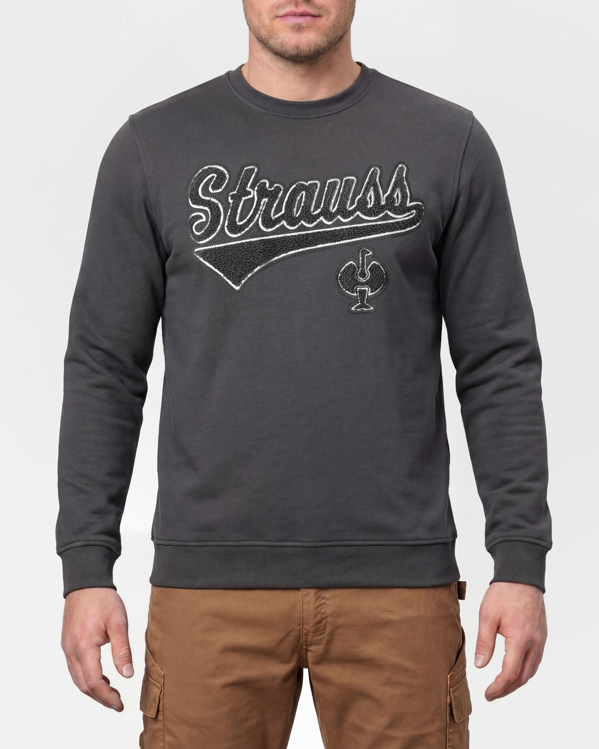 STRAUSS e.s.e:pic artwork crew neck sweatshirt in carbon gray, worn by model, front view