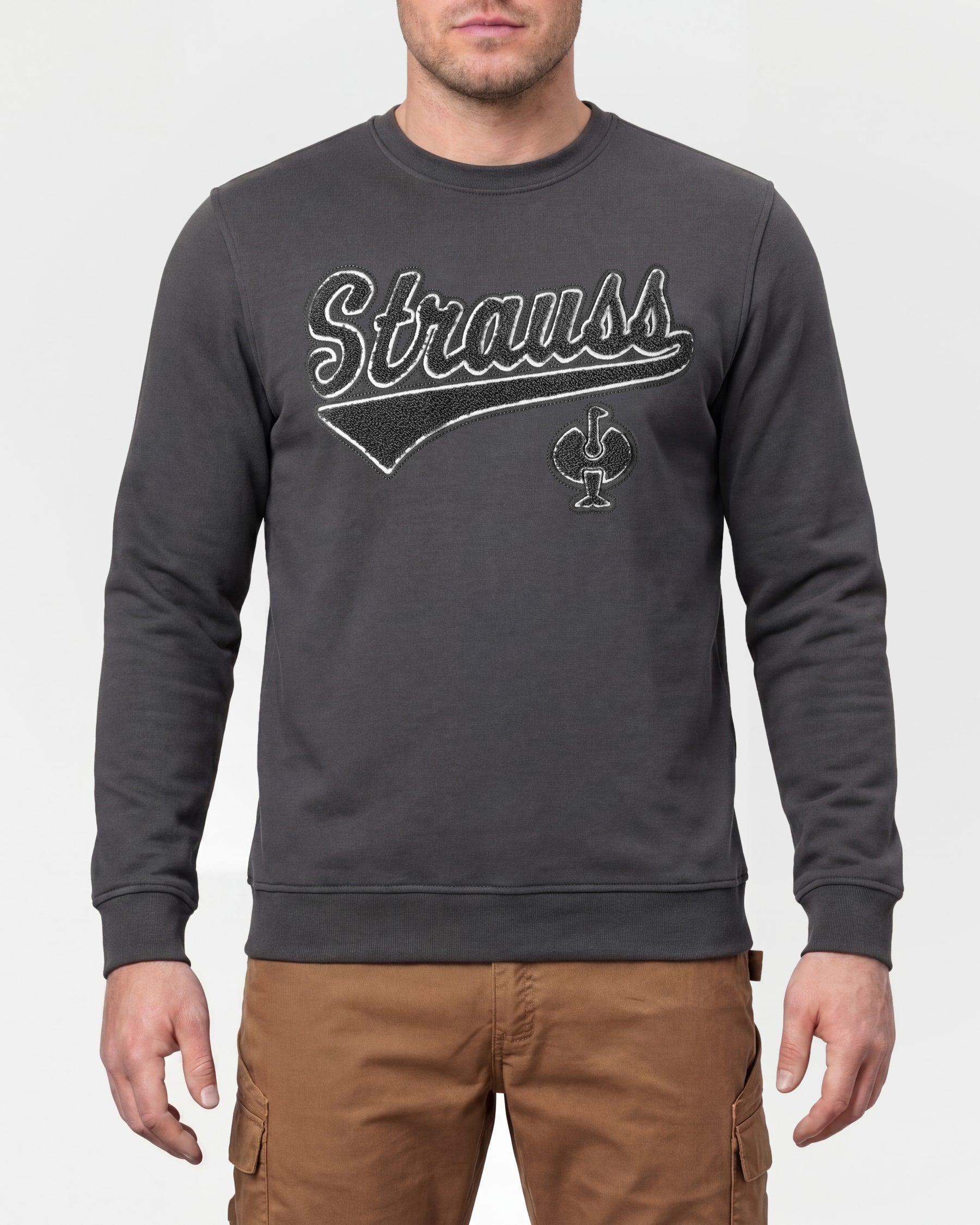 STRAUSS e.s.e:pic artwork crew neck sweatshirt in carbon gray, worn by model, front view