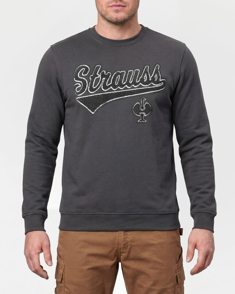 STRAUSS e.s.e:pic artwork crew neck sweatshirt in carbon gray, worn by model, front view
