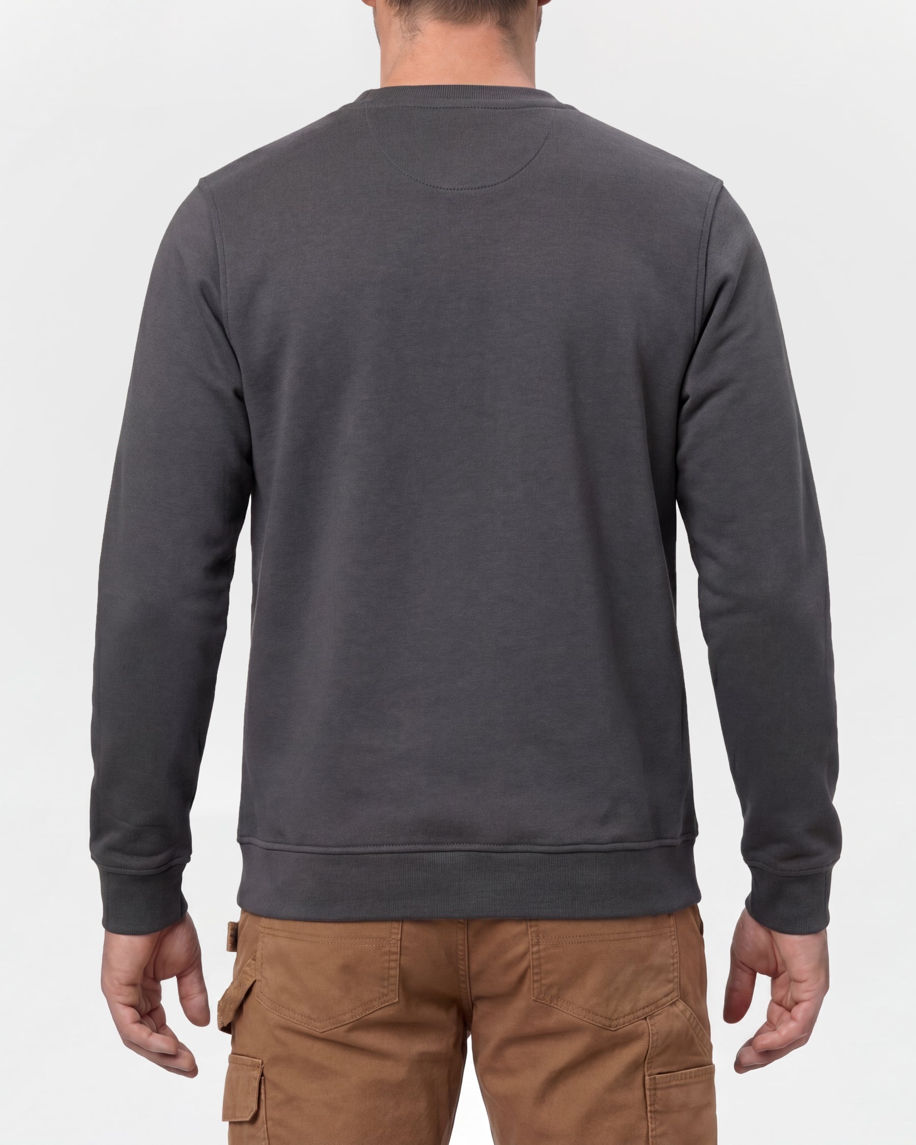 STRAUSS e.s.e:pic artwork crew neck sweatshirt in carbon gray, worn by model, back view