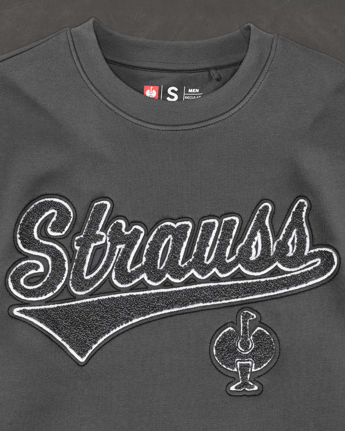 STRAUSS e.s.e:pic artwork crew neck sweatshirt in carbon gray, close-up of graphic artwork detail