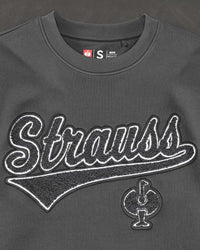 STRAUSS e.s.e:pic artwork crew neck sweatshirt in carbon gray, close-up of graphic artwork detail