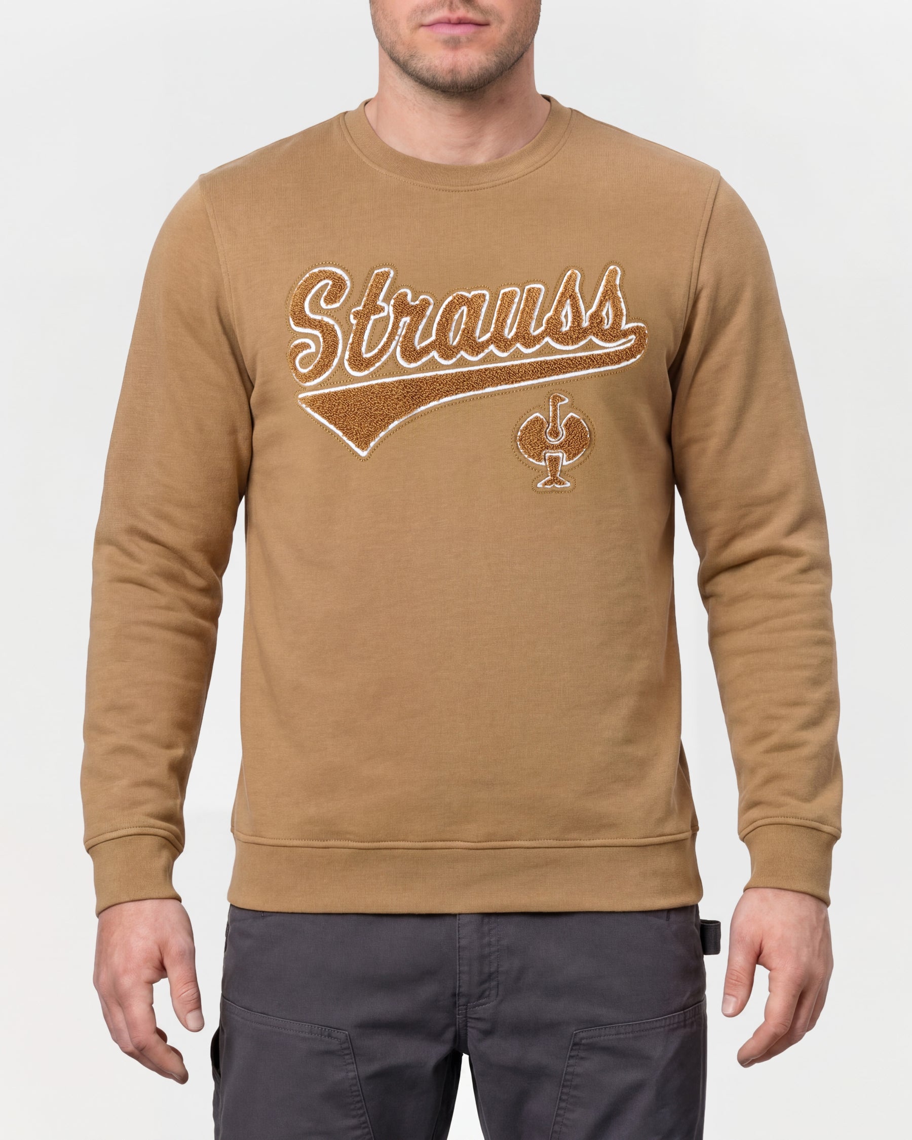 STRAUSS e.s.e:pic artwork crew neck sweatshirt in almond brown, worn by model, front view