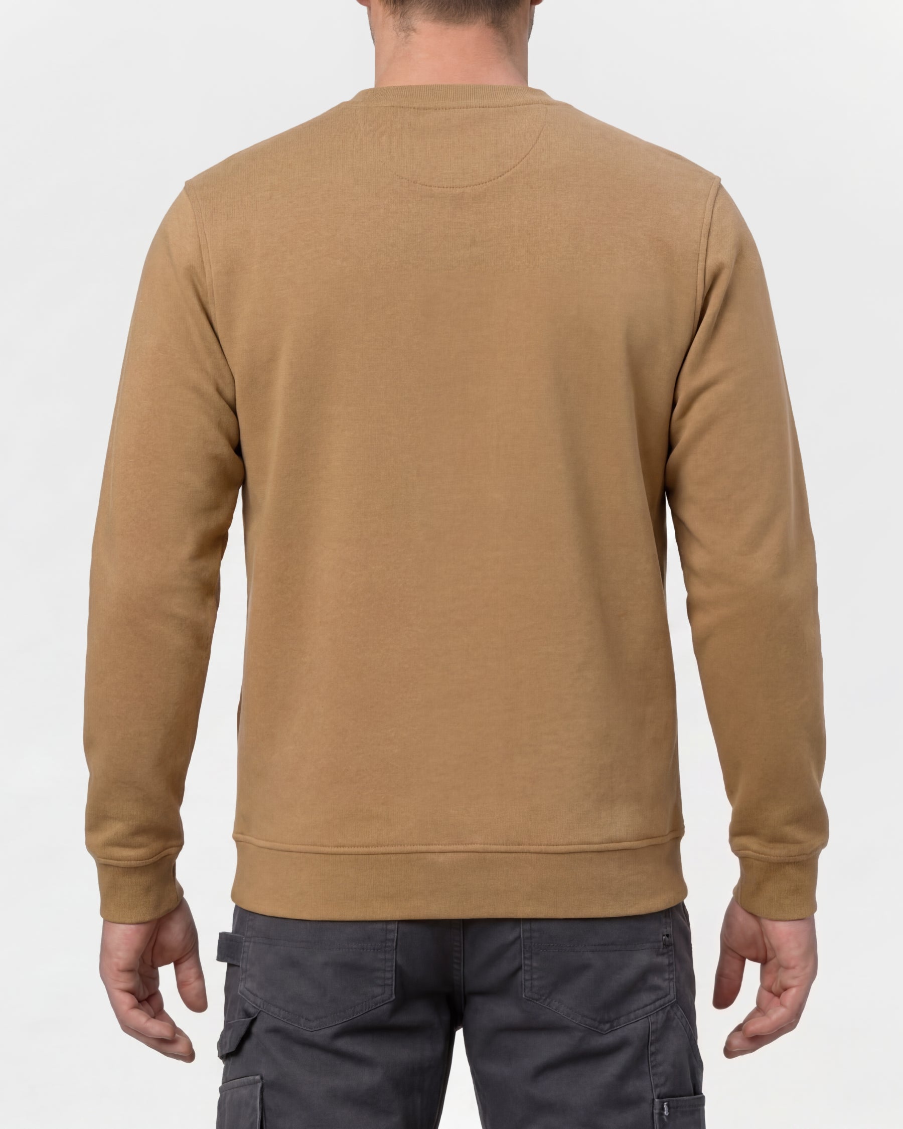 STRAUSS e.s.e:pic artwork crew neck sweatshirt in almond brown, worn by model, back view