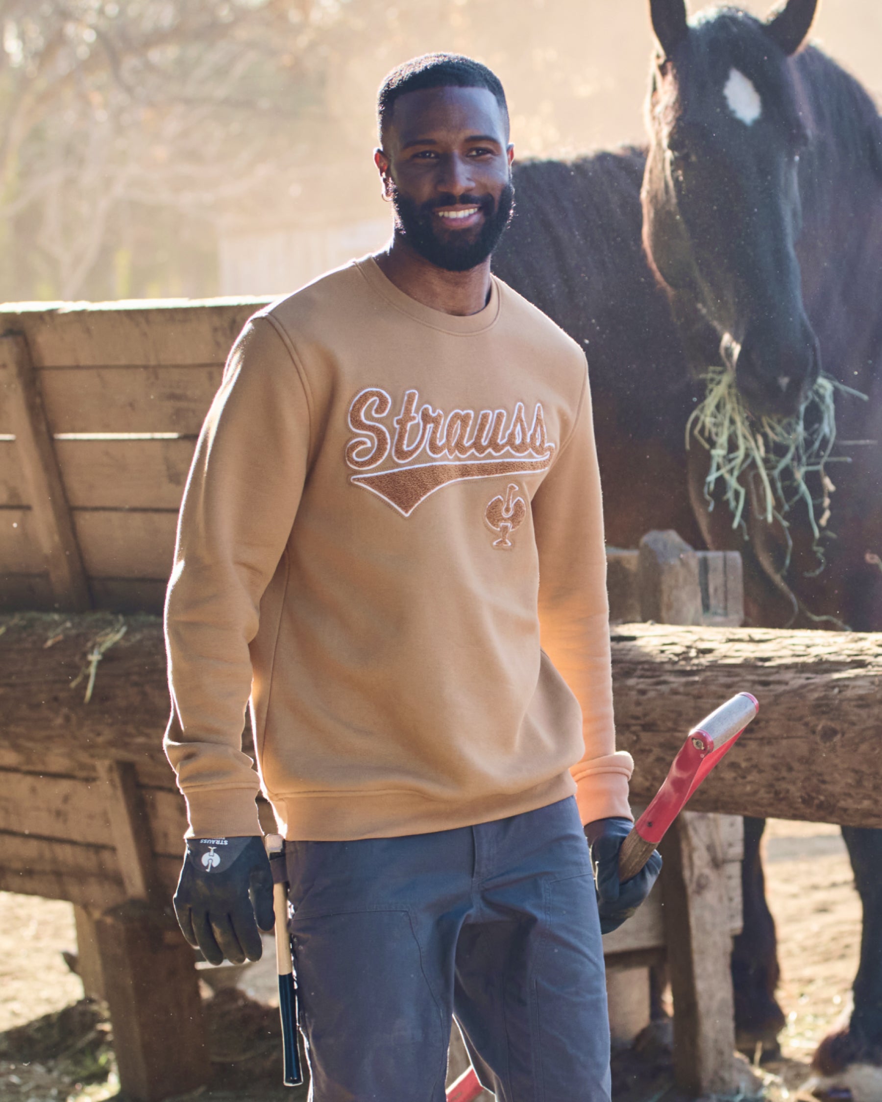 STRAUSS e.s.e:pic artwork crew neck sweatshirt in almond brown, worn in lifestyle setting