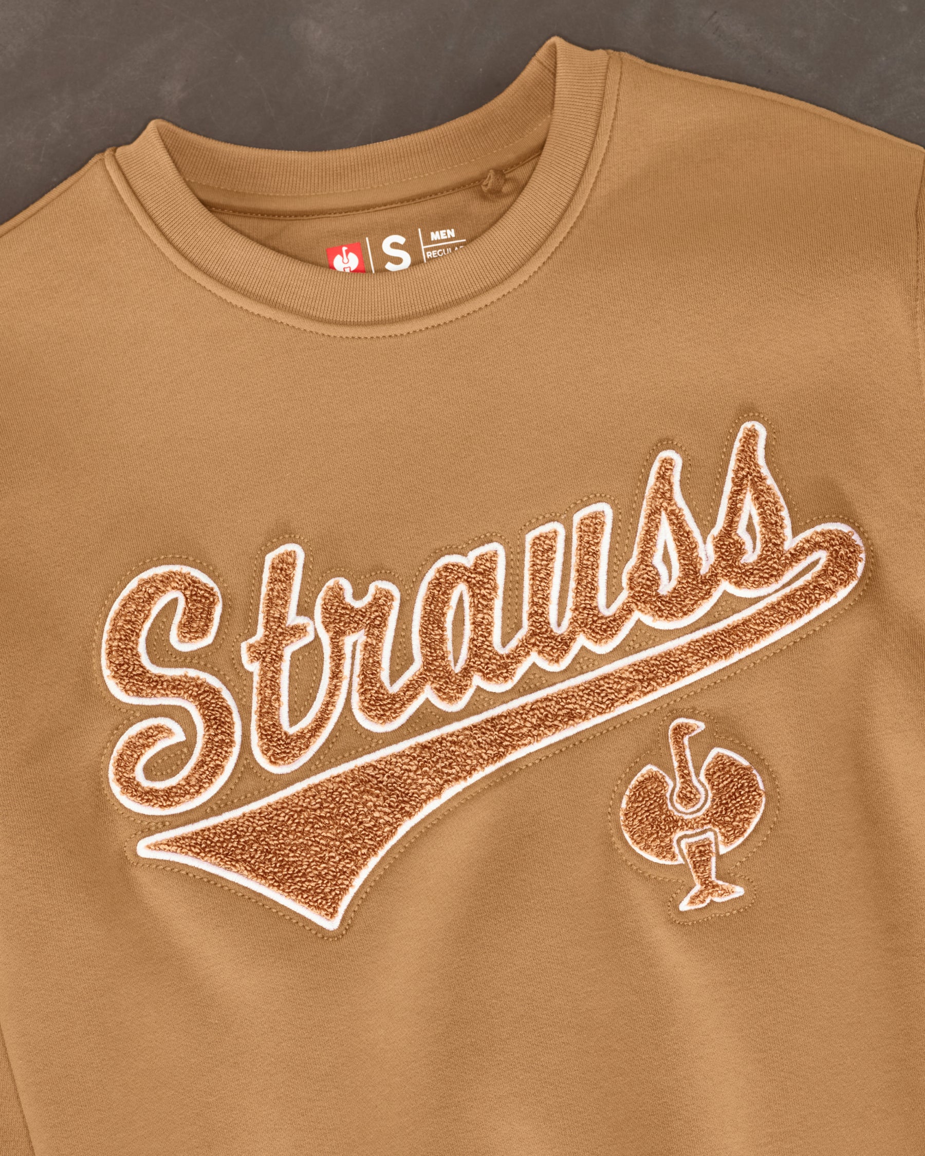 STRAUSS e.s.e:pic artwork crew neck sweatshirt in almond brown, close-up of graphic artwork detail