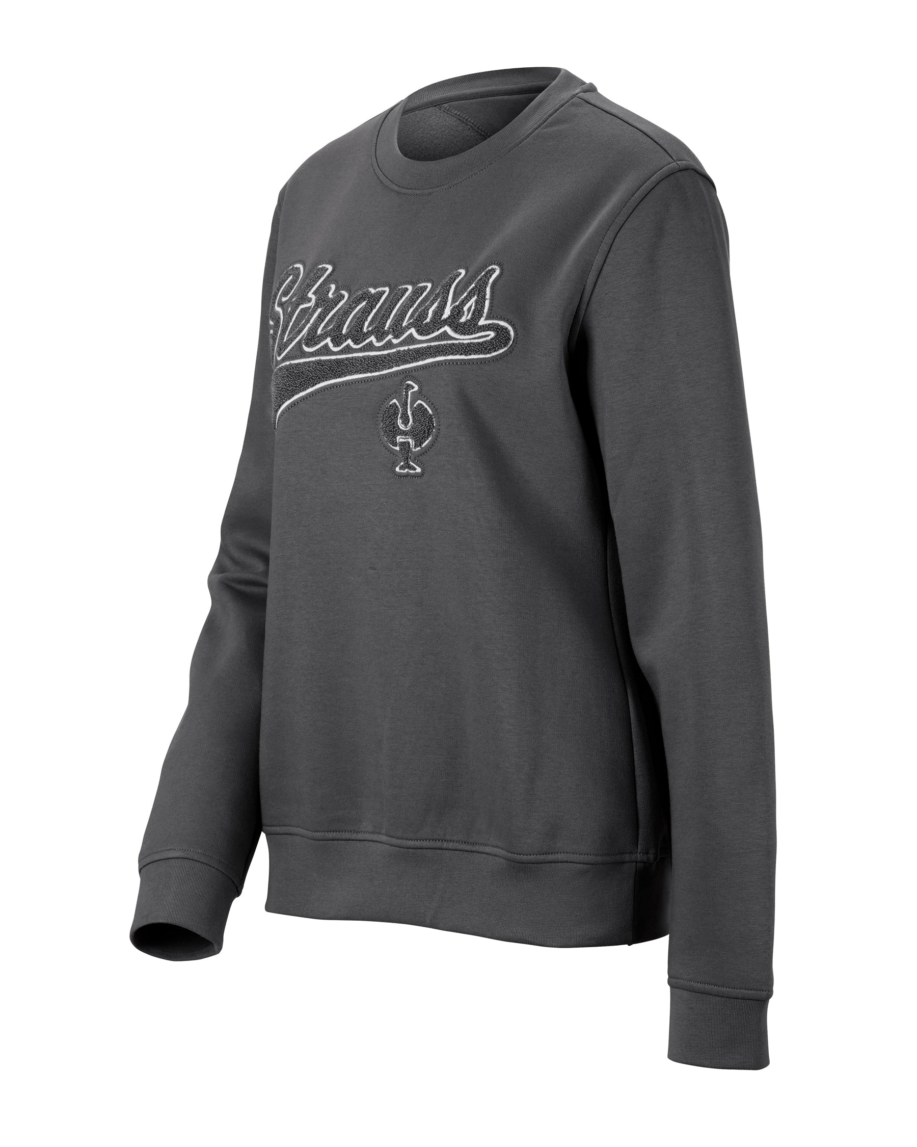 Women's STRAUSS e.s.e:pic artwork crew neck sweatshirt in carbon gray, front view