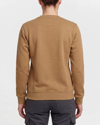 Women's STRAUSS e.s.e:pic artwork crew neck sweatshirt in almond brown, worn by model, back view