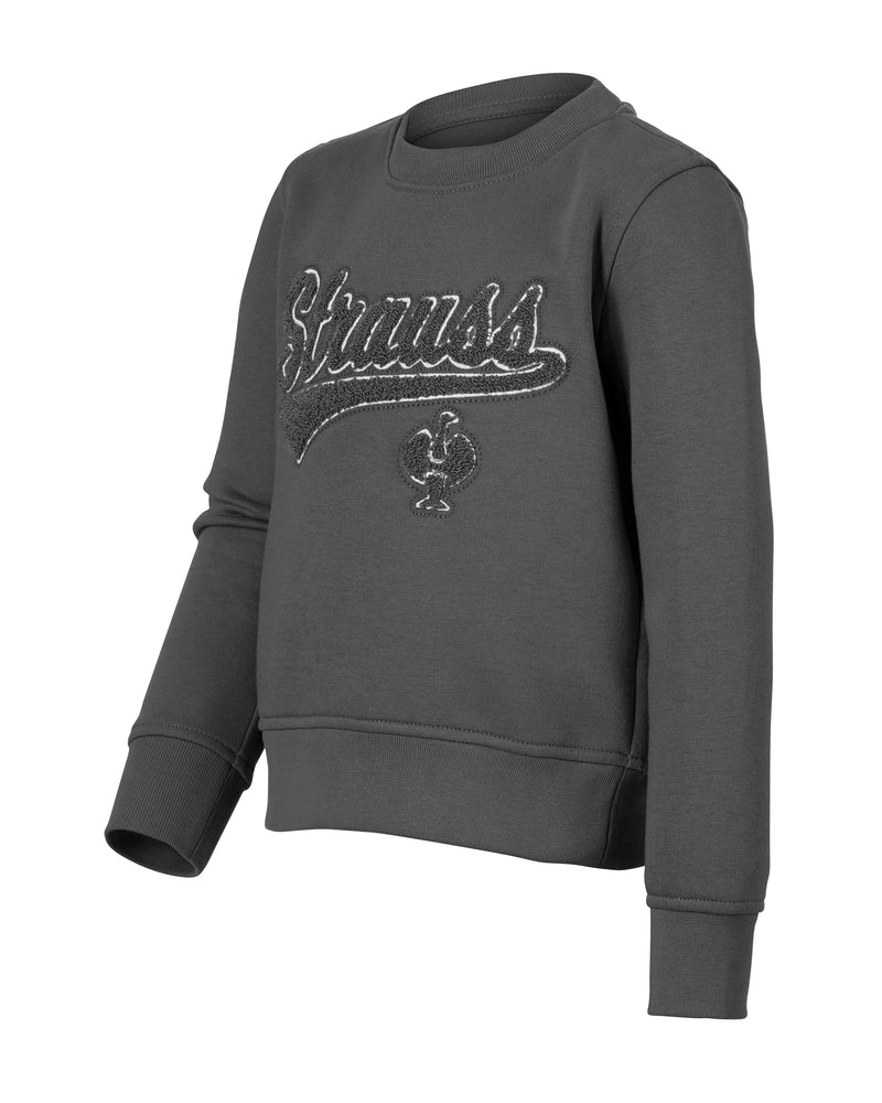 Kids' STRAUSS e.s.e:pic artwork crew neck sweatshirt in carbon gray, front view