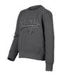 Kids' STRAUSS e.s.e:pic artwork crew neck sweatshirt in carbon gray, front view