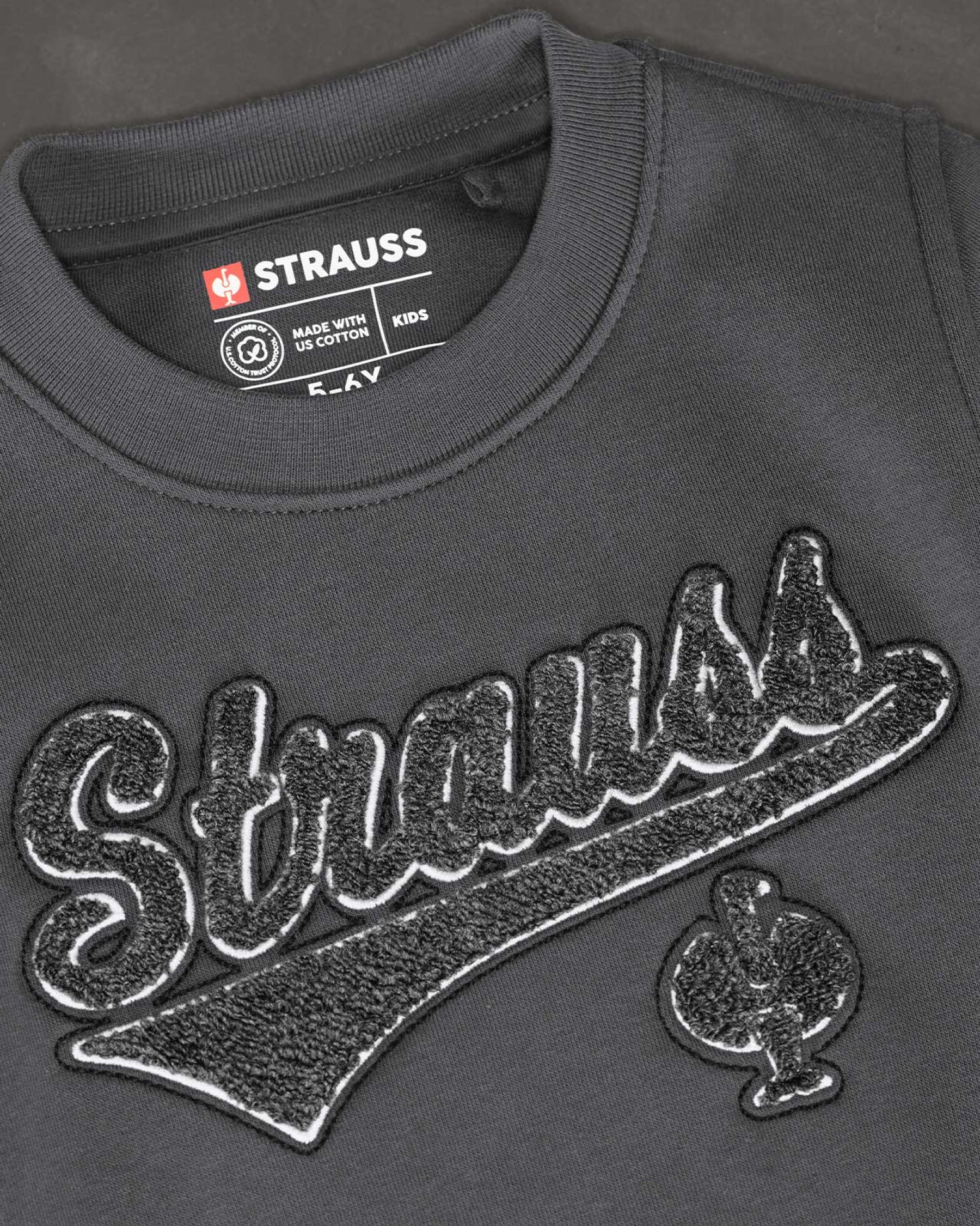 Kids' STRAUSS e.s.e:pic artwork crew neck sweatshirt in carbon gray, close-up of graphic artwork detail