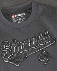 Kids' STRAUSS e.s.e:pic artwork crew neck sweatshirt in carbon gray, close-up of graphic artwork detail