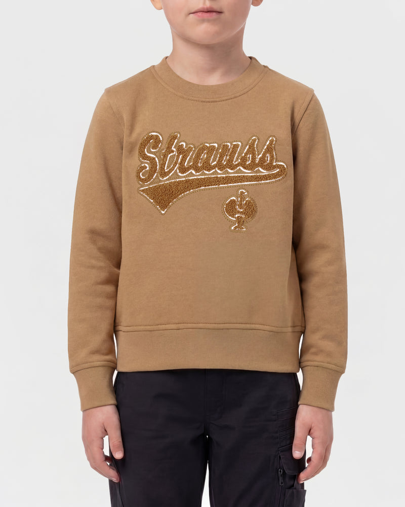 Kids' STRAUSS e.s.e:pic artwork crew neck sweatshirt in almond brown, worn by model, front view