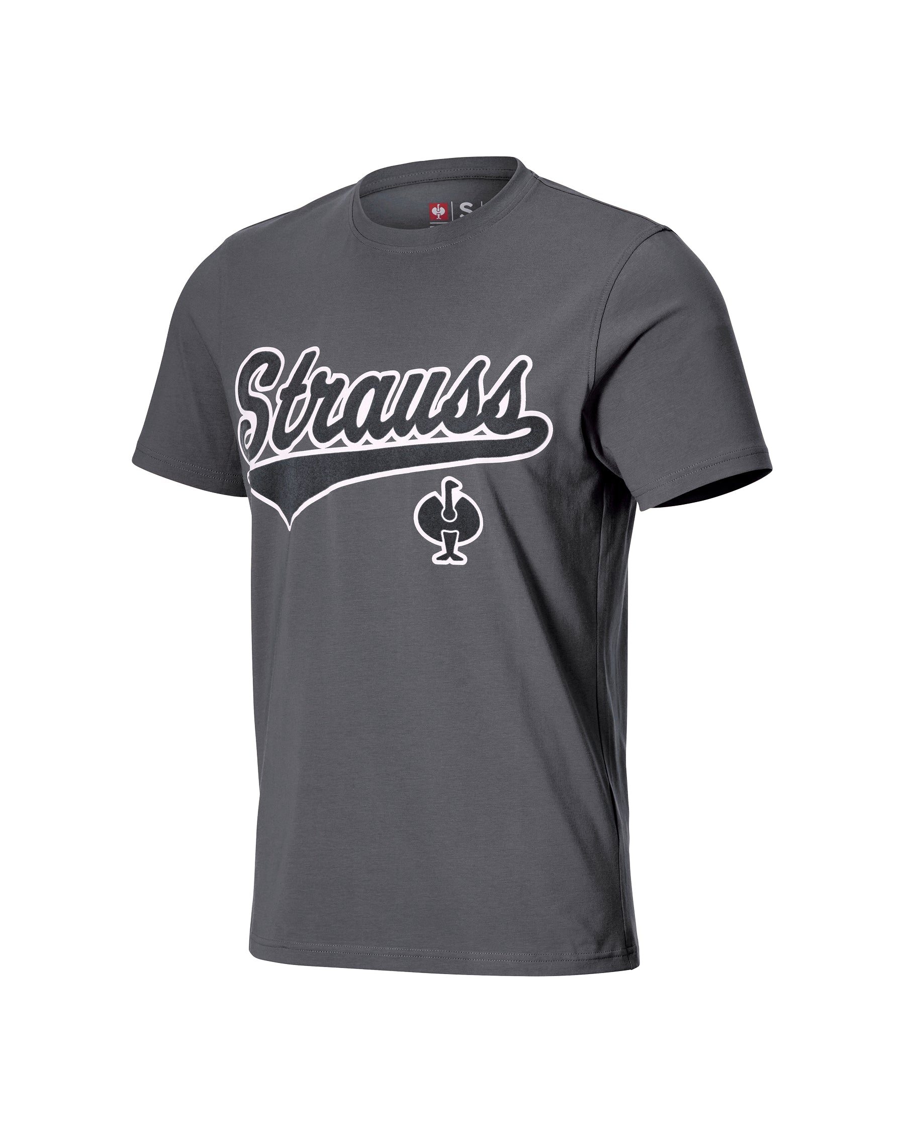 STRAUSS Artwork T-Shirt e.s.e:pic in carbon gray on a plain product background