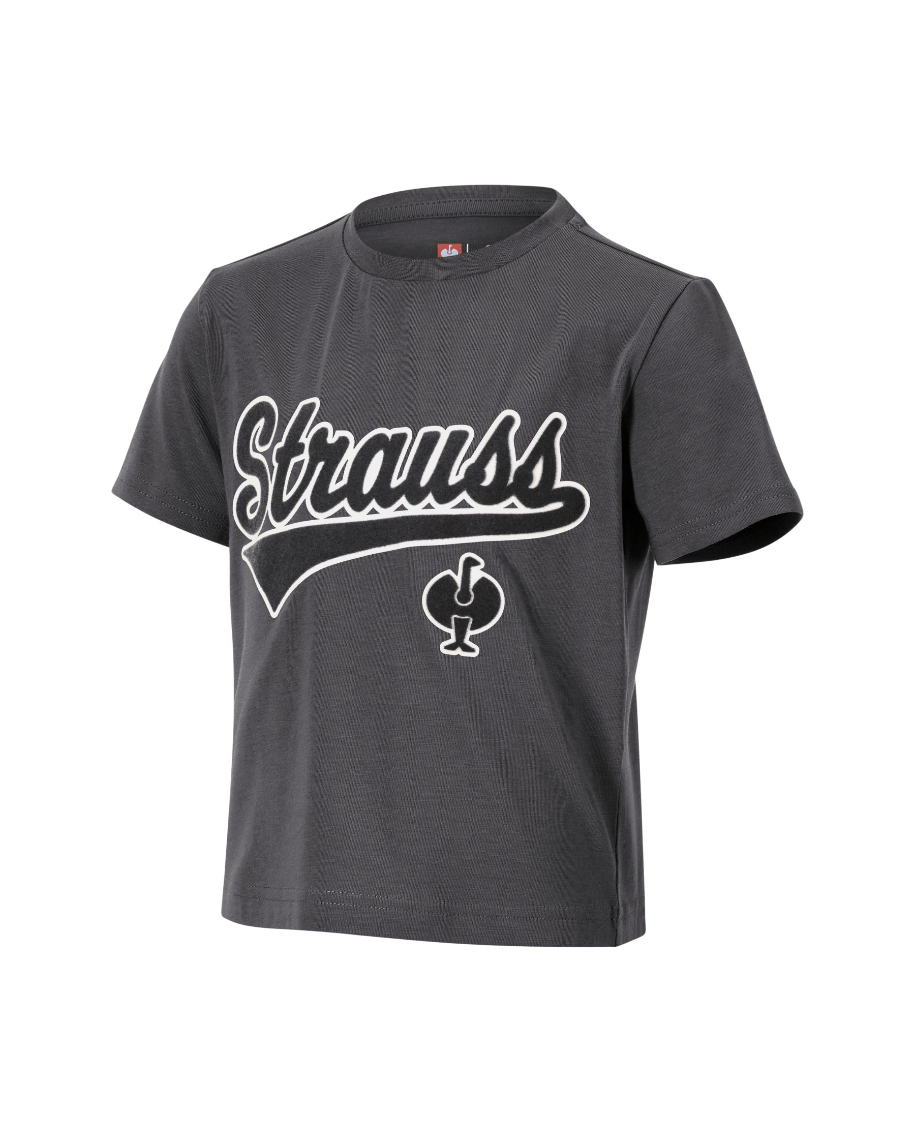 Kids' STRAUSS Artwork T-Shirt e.s.e:pic in carbon gray on a plain product background