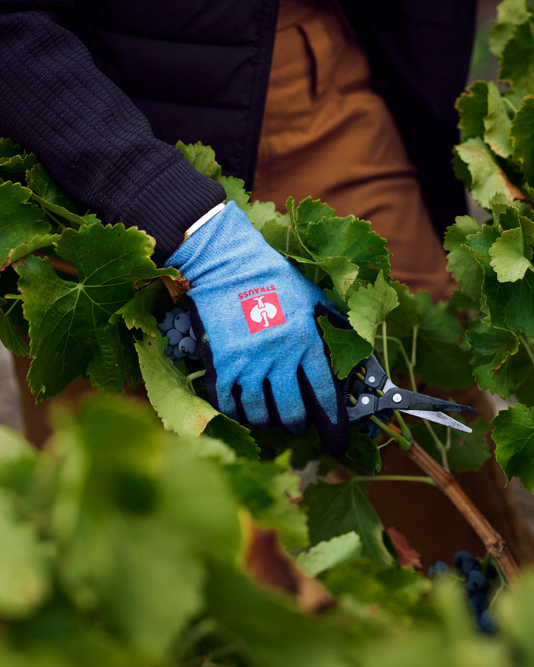 A worker wears black and blue melange STRAUSS comfort skin A2 PU cut protection gloves while gripping a hand tool at a workbench.