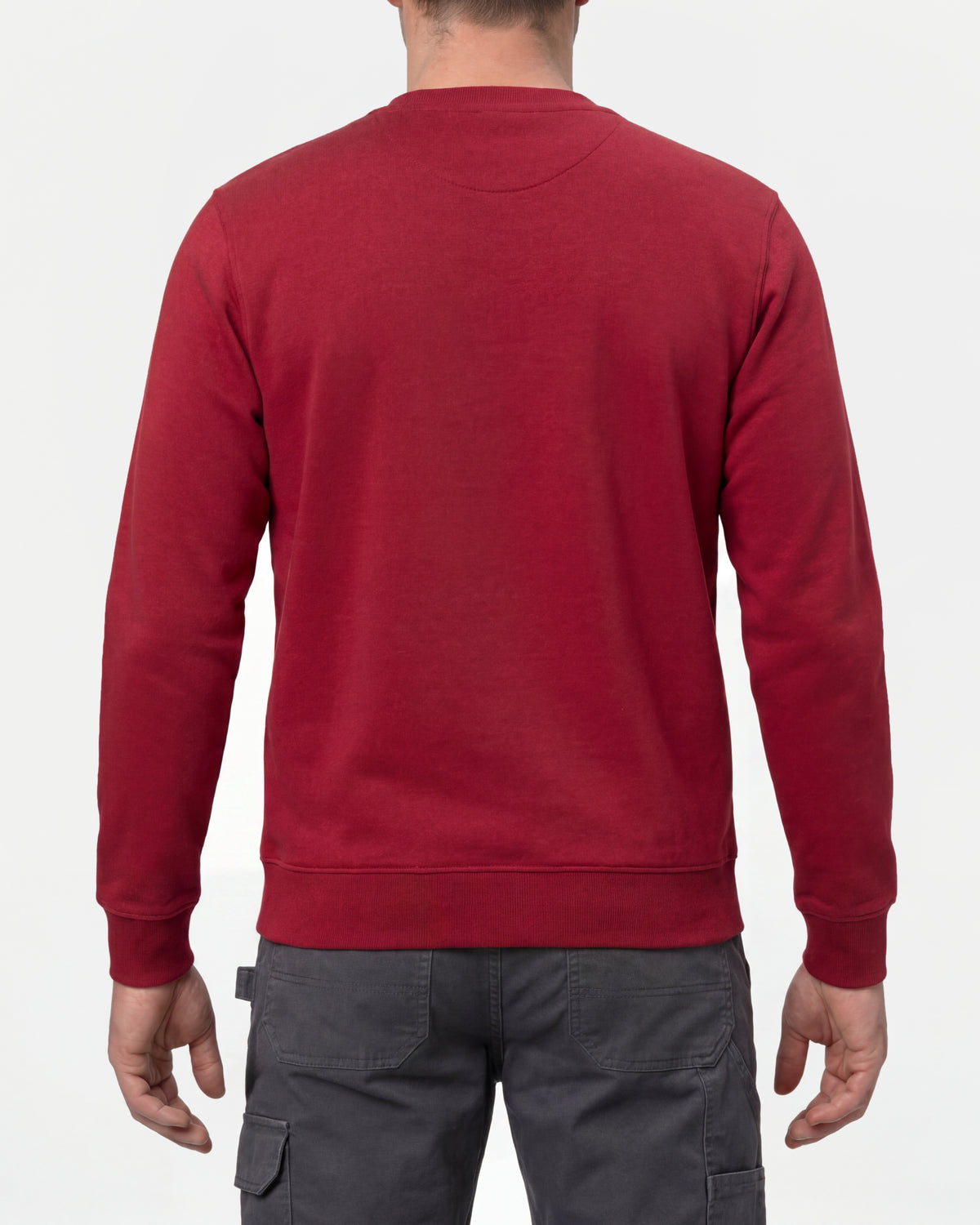 STRAUSS cotton-poly crew neck sweatshirt in fire red, worn by model, back view