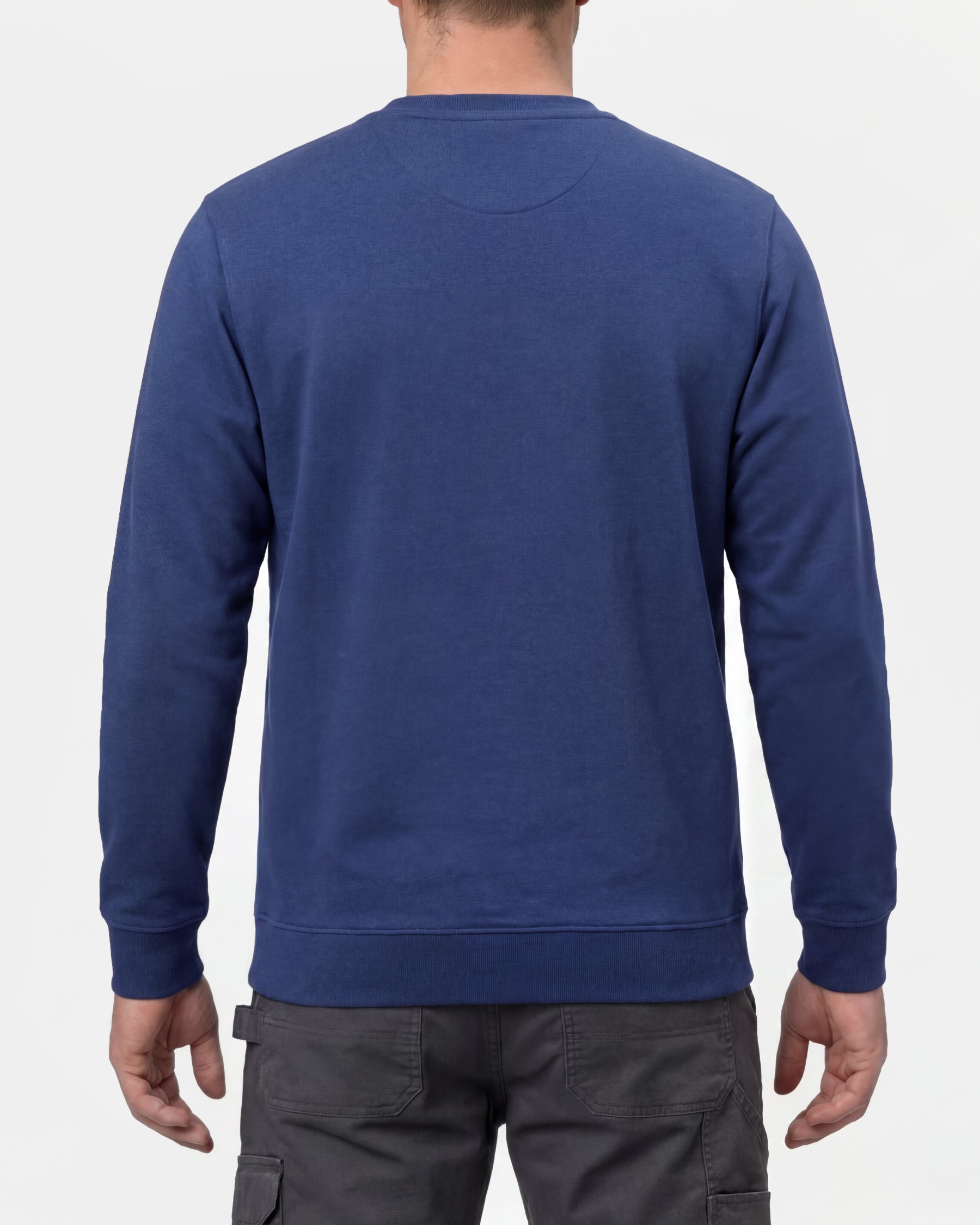 STRAUSS cotton-poly crew neck sweatshirt in royal blue, worn by model, back view