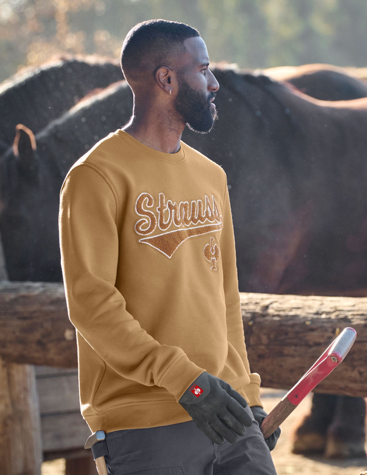 Man wearing a brown sweatshirt with 'Strauss' logo, holding a tool, standing in front of horses.