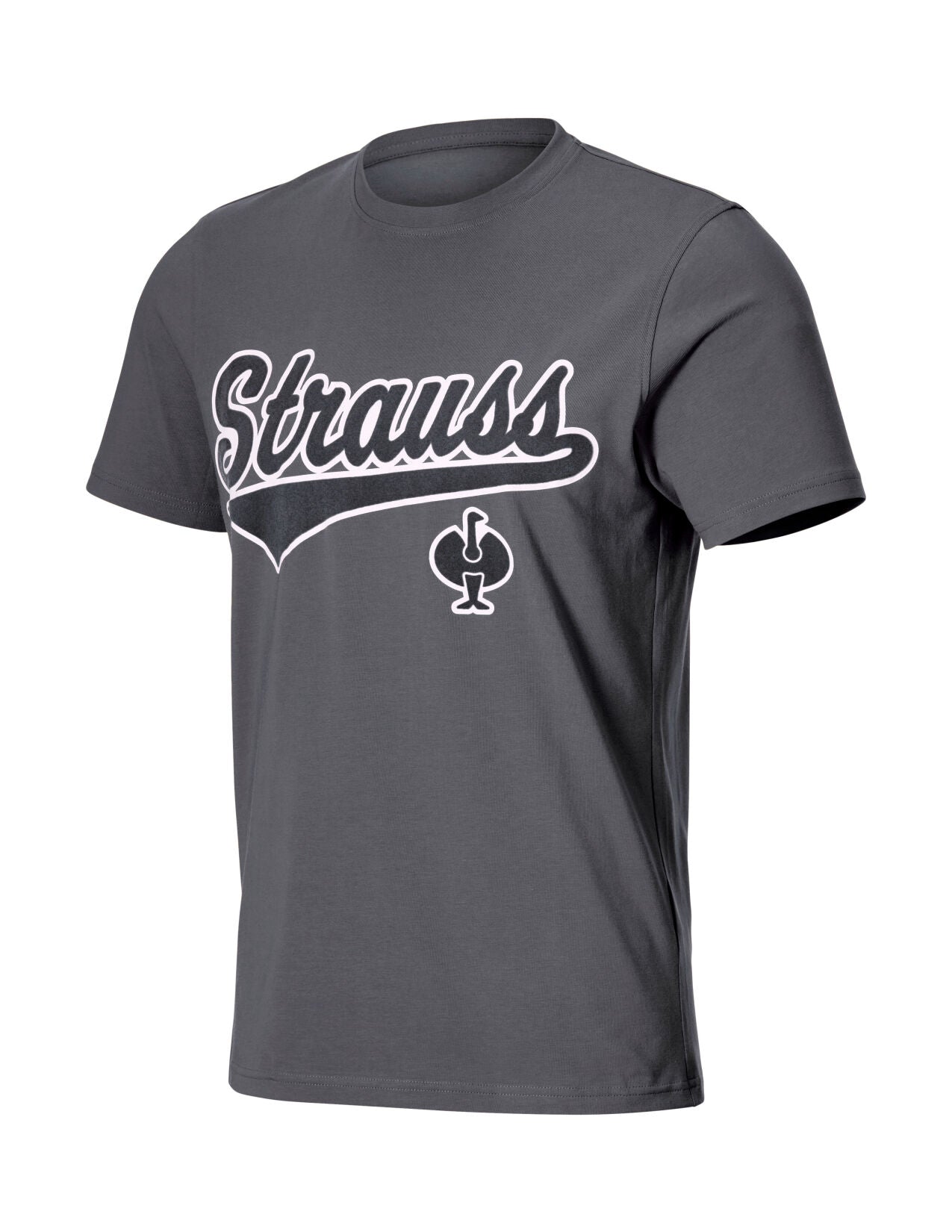 Artwork T-Shirt e.s.e:pic in carbongrey