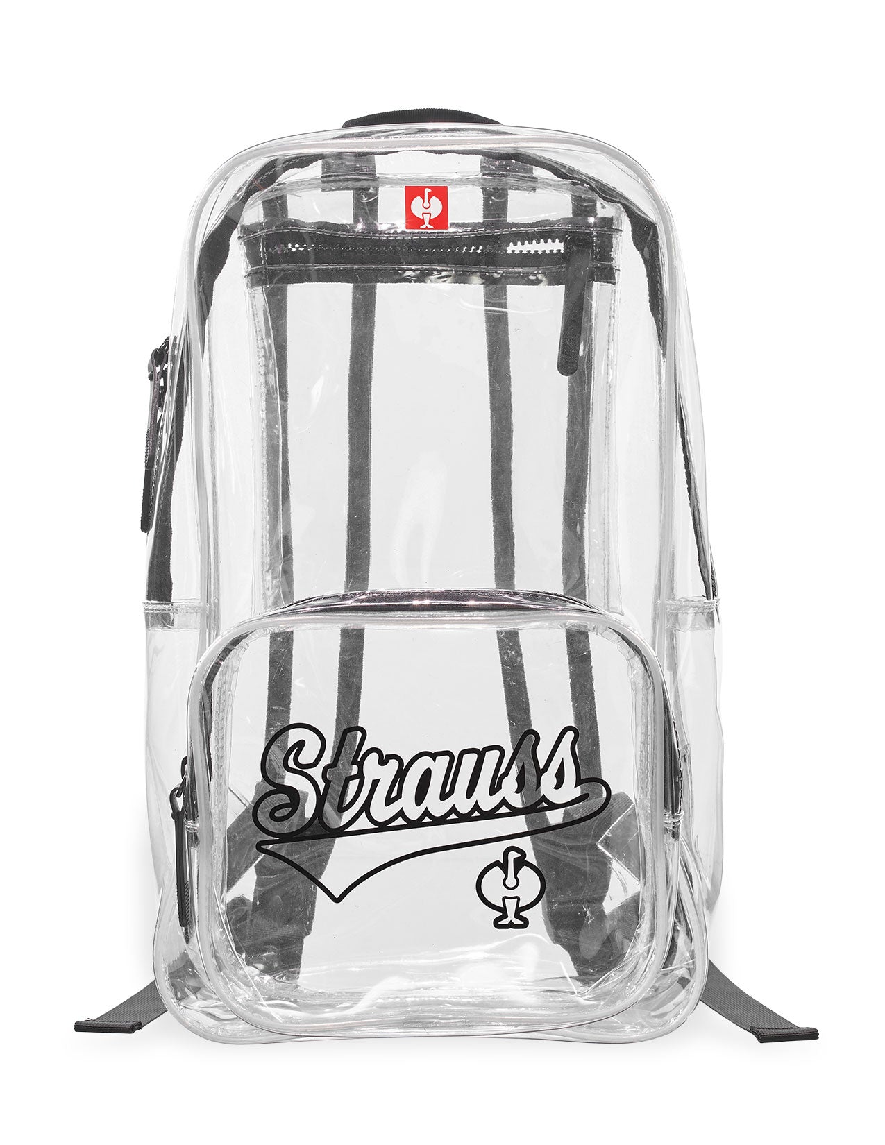 Clear Bagpack in clear