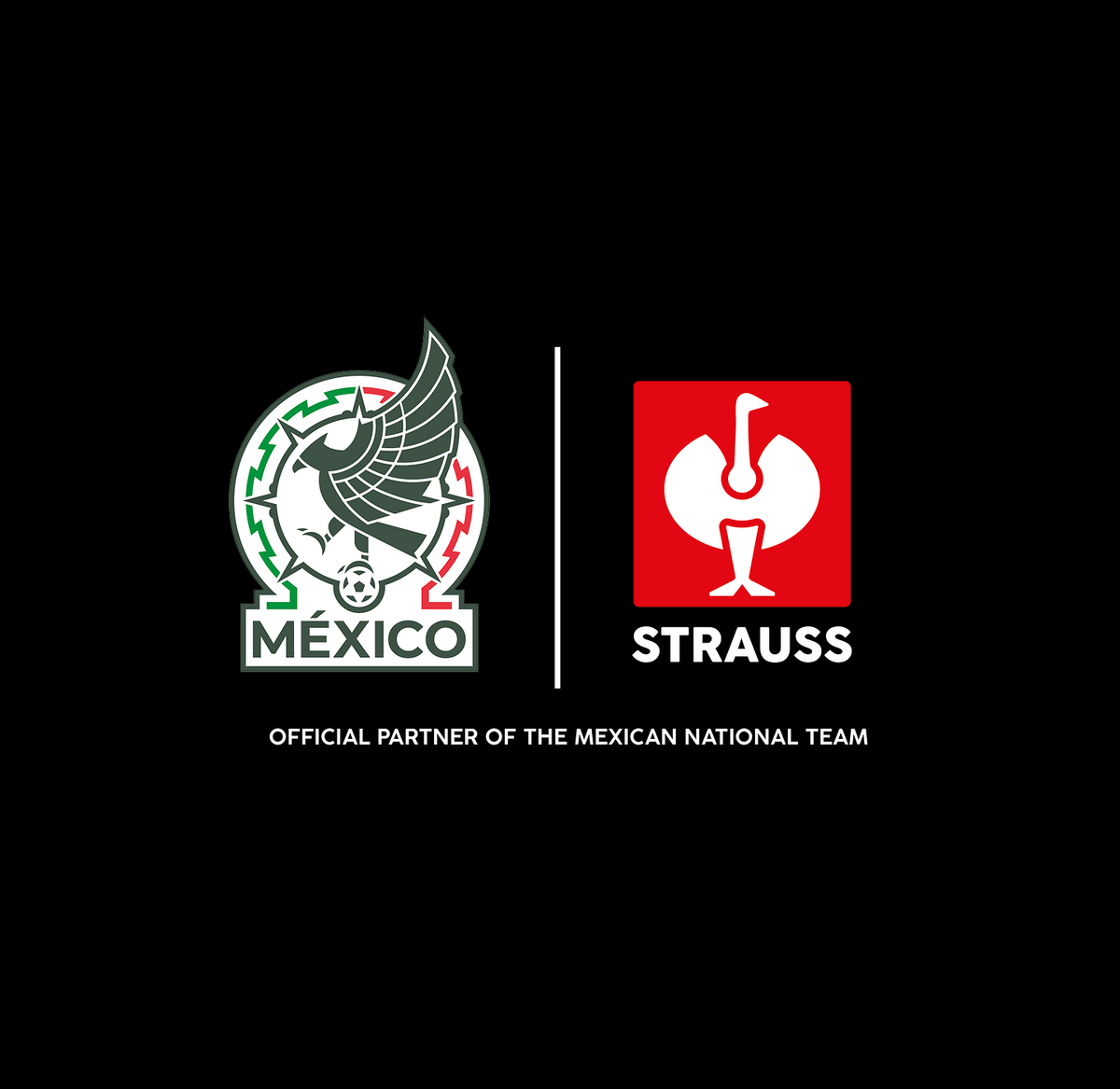 Logos of the Mexican National Football Team and Strauss side by side on a black background, with text below reading Official Partner of the Mexican National Team..