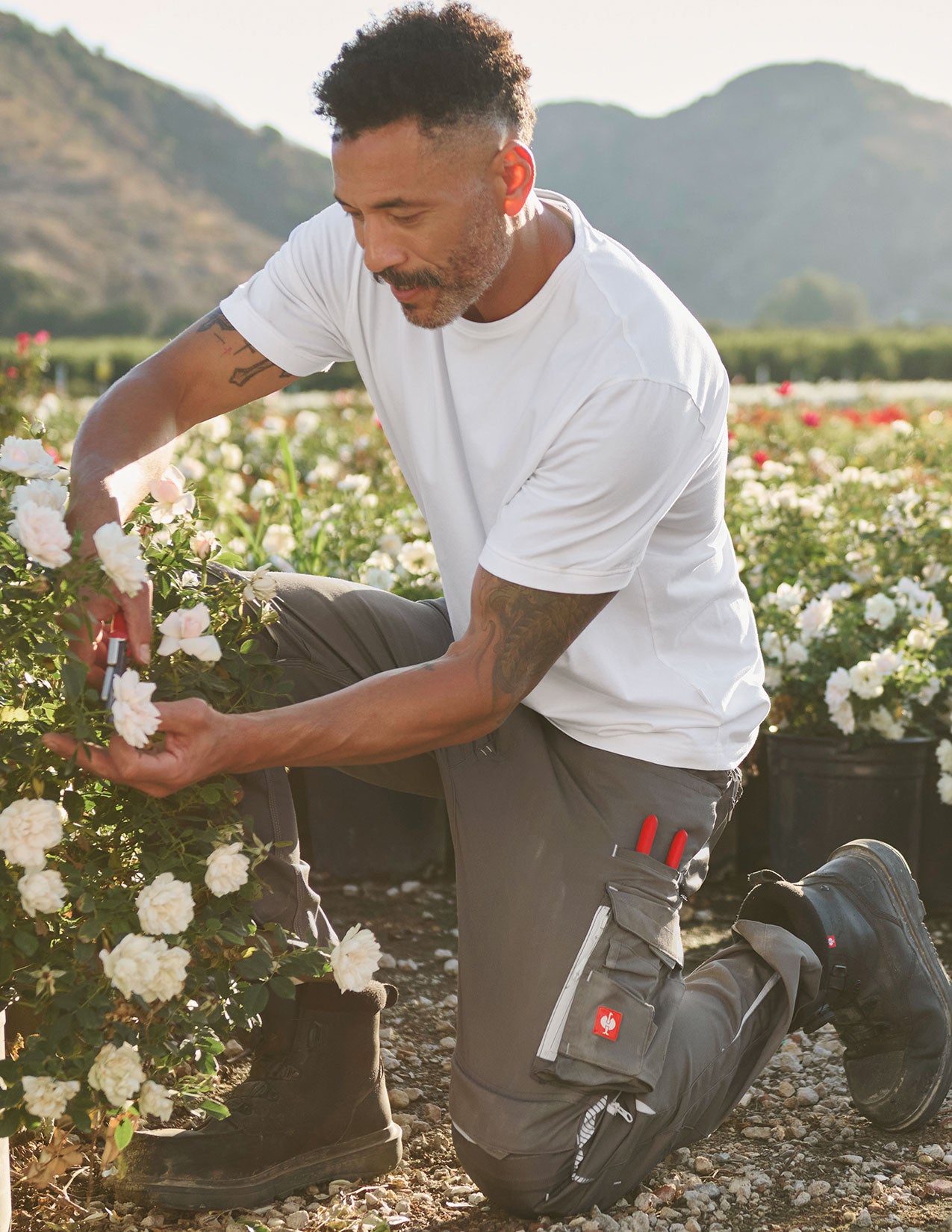 Man tending to flowers in a field with mountains in the background.