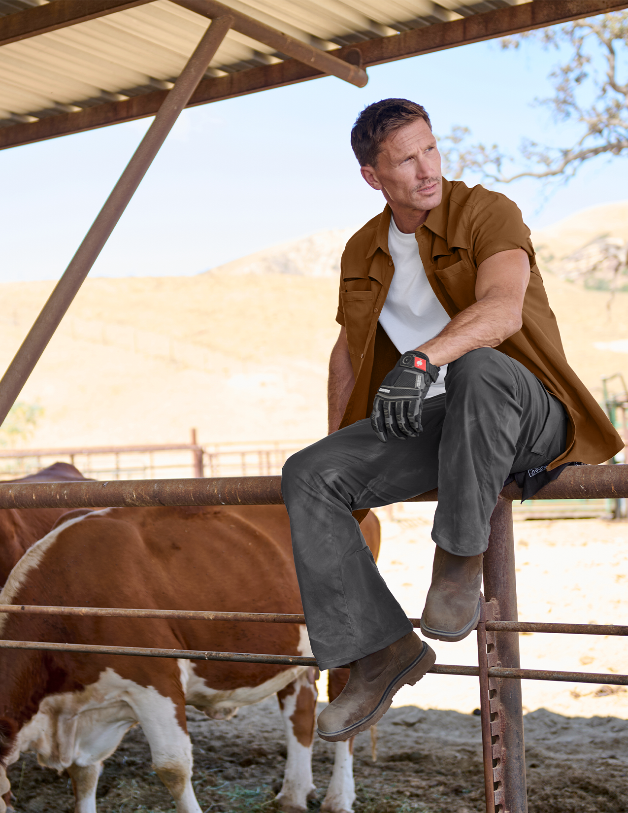 Man sitting on a fence with a cow in the background