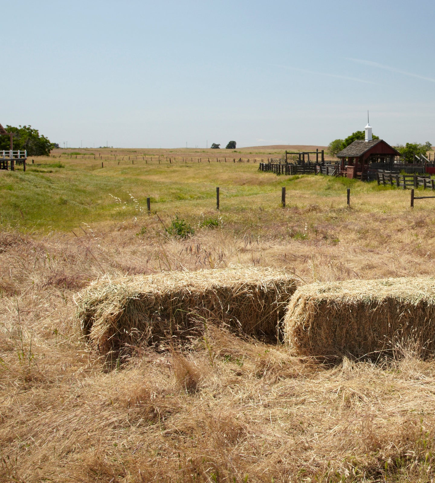 Hay bales in a dry field with a small farmhouse visible in the distance.