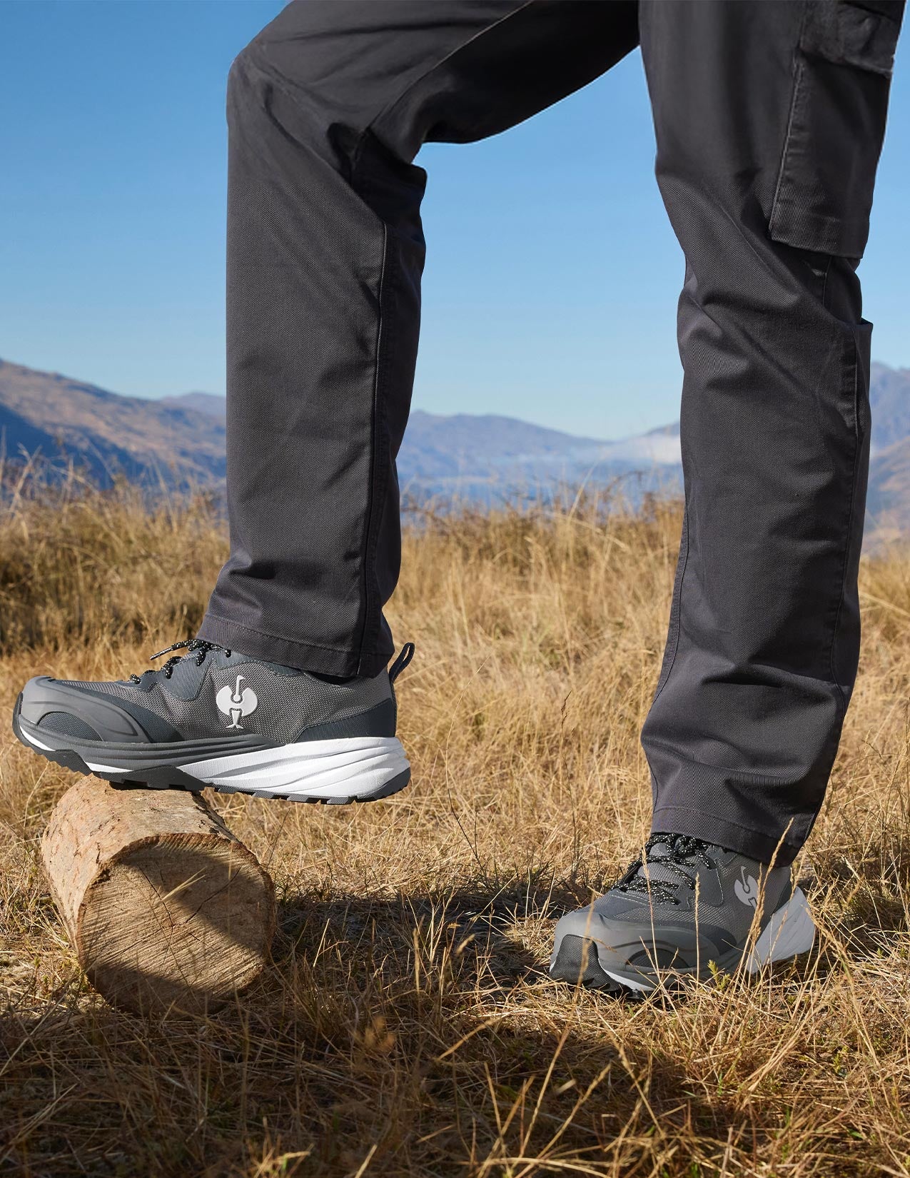 Person wearing black pants and gray hiking shoes standing on a log with mountains in the background