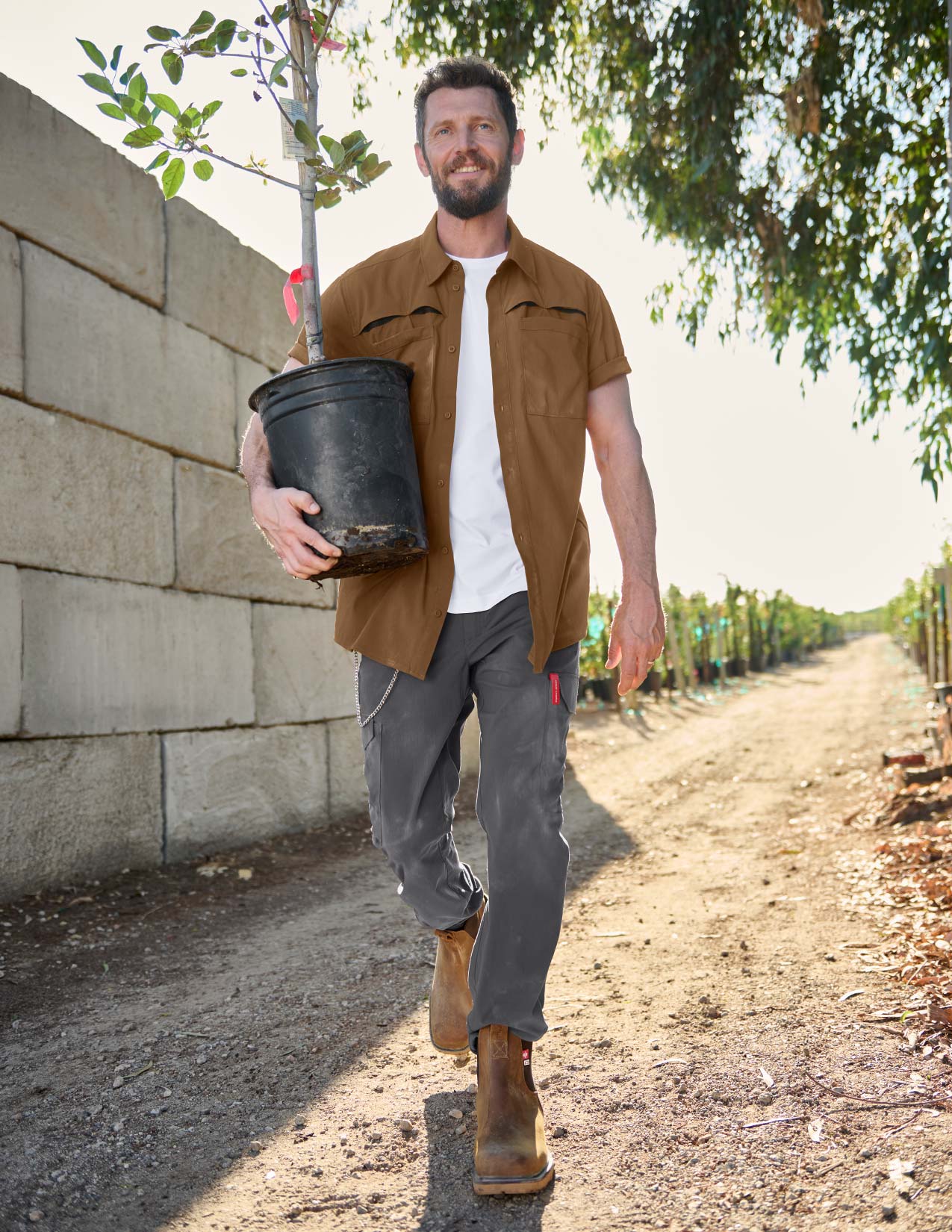 Man in brown work shirt and grey pants carrying a small tree in his arms