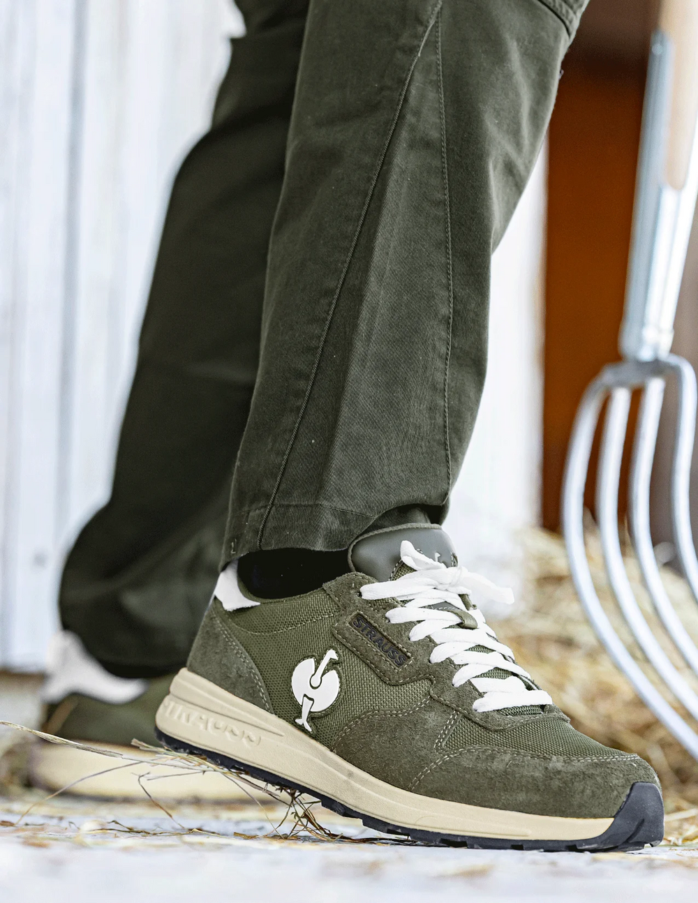 Canberra Steel Toe Work Shoe | Strauss