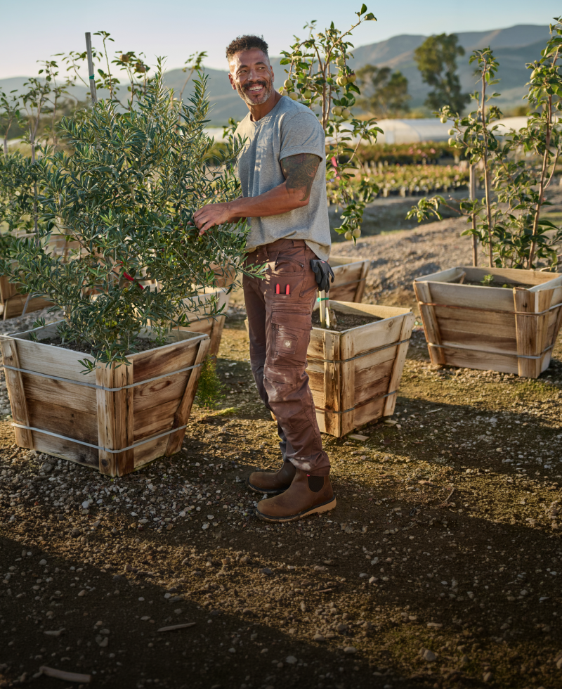 Man tending to plants in wooden crates in a garden setting with mountains in the background