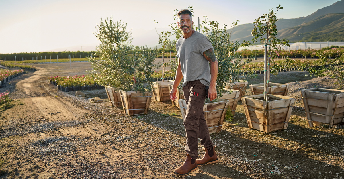 A man in a gray t-shirt and brown pants walks on a dirt path through a sunlit orchard with young trees in wooden planters. Mountains and fields are visible in the background.