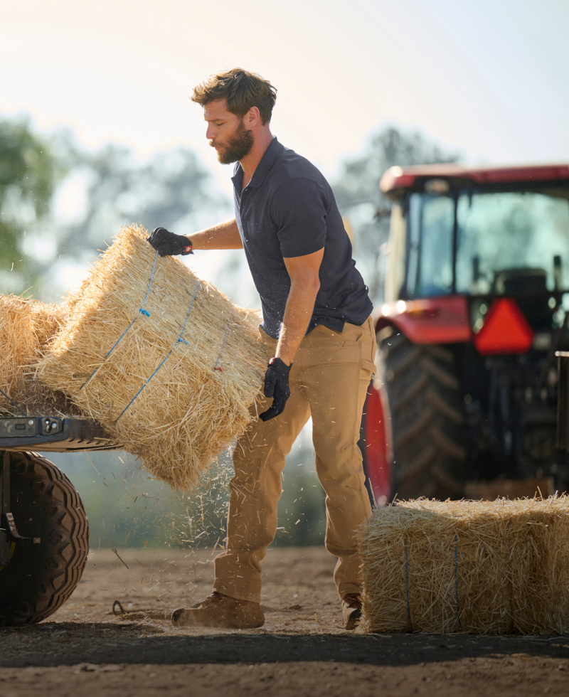 A man lifting a bale of hay onto the bed of a vehicle