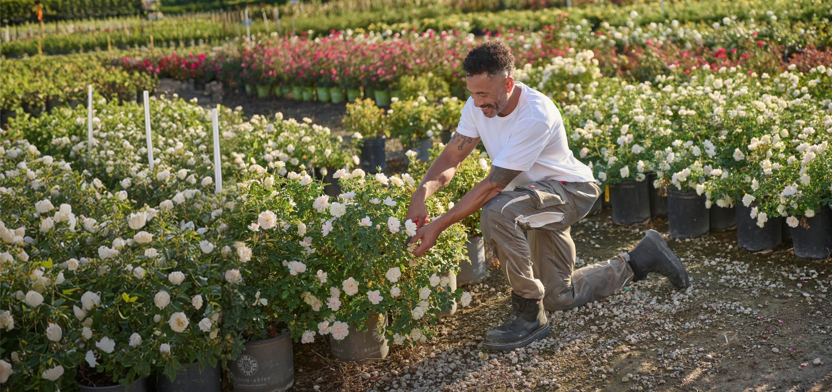 Man tending to plants in a nursery with flowers and pots around