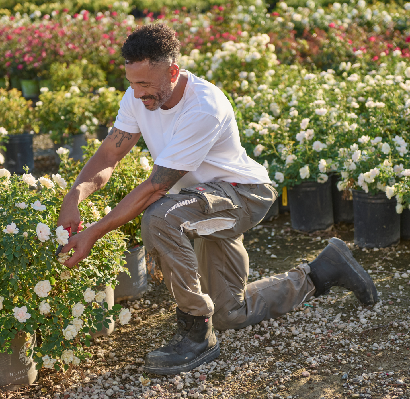 A man in a white t-shirt and cargo pants kneels in a garden, tending to potted white flowers surrounded by many other flowering plants on a sunny day.